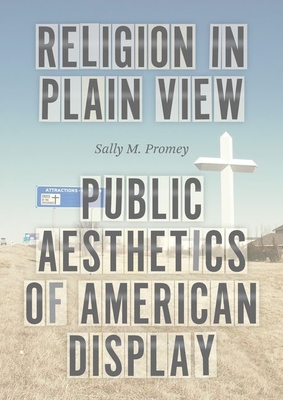 Religion in Plain View: Public Aesthetics of American Display - Promey, Sally M, Professor