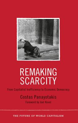 Remaking Scarcity: From Capitalist Inefficiency to Economic Democracy - Panayotakis, Costas