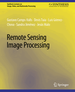 Remote Sensing Image Processing