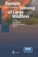 Remote Sensing of Large Wildfires: In the European Mediterranean Basin