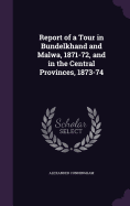 Report of a Tour in Bundelkhand and Malwa, 1871-72, and in the Central Provinces, 1873-74