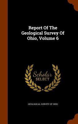 Report Of The Geological Survey Of Ohio, Volume 6 - Geological Survey of Ohio (Creator)