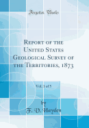 Report of the United States Geological Survey of the Territories, 1873, Vol. 1 of 5 (Classic Reprint)