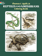 Reptiles and Amphibians Coloring Book