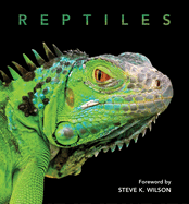 Reptiles: Deluxe Series