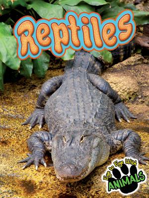 Reptiles - Greve, Tom