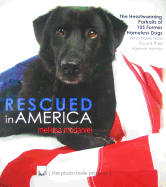 Rescued in America