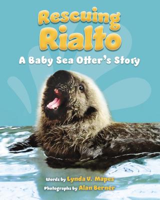 Rescuing Rialto: A Baby Sea Otter's Story - Mapes, Lynda V