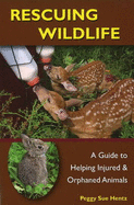 Rescuing Wildlife: A Guide to Helping Injured & Orphaned Animals