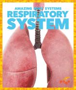 Respiratory System