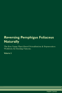 Reversing Pemphigus Foliaceus Naturally the Raw Vegan Plant-Based Detoxification & Regeneration Workbook for Healing Patients. Volume 2