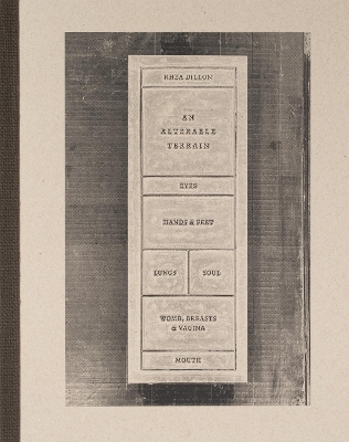 Rhea Dillon: An Alterable Terrain - Dillon, Rhea (Artist), and Noxolo, Patricia, Professor (Introduction by), and Ferland, Barbara (Contributions by)