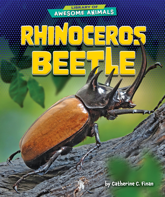 Rhinoceros Beetle - Finan, Catherine C