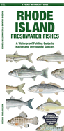Rhode Island Freshwater Fishes: A Waterproof Folding Guide to Native and Introduced Species