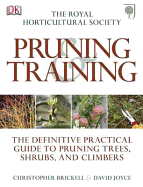 RHS Pruning and Training