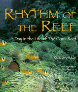 Rhythm of the Reef - Sammons, Rick