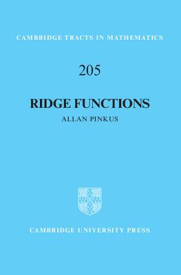 Ridge Functions - Pinkus, Allan