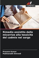 Rimedio assistito dalle micorrize alla tossicit del cadmio nel sorgo