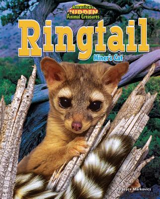 Ringtail: Miner's Cat - Markovics, Joyce