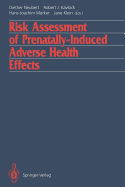 Risk Assessment of Prenatally-Induced Adverse Health Effects