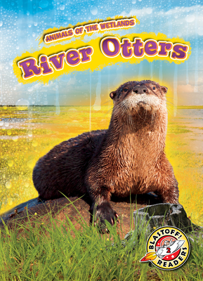 River Otters - Kenney, Karen