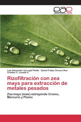 Rizofiltracion Con Zea Mays Para Extraccion de Metales Pesados - Carvajal Pinilla Luis Alexander, and Orozco Roa Daniel Felipe, and Losada C Cristian C