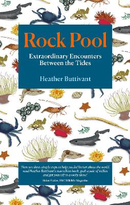 Rock Pool: Extraordinary Encounters Between the Tides - Buttivant, Heather