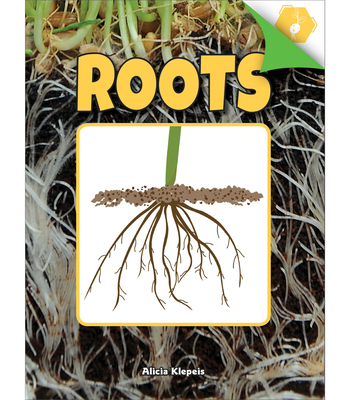 Roots - Klepeis