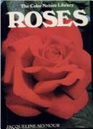 Roses - Outlet, and Rh Value Publishing