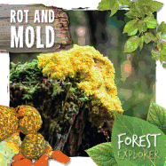 Rot and Mold