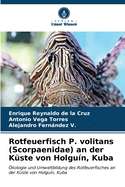 Rotfeuerfisch P. volitans (Scorpaenidae) an der K?ste von Holgu?n, Kuba
