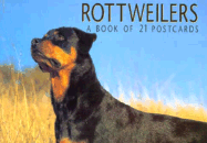 Rottweilers Postcard Book