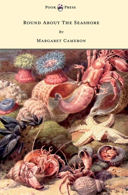 Round about the Seashore - With Eight Coloured Pictures - Cameron, Margaret