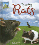 Running Rats