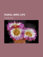 Rural Bird Life