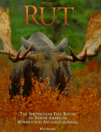 Rut: Spectacular Fall Ritual of North American Horned and Antlered Animals