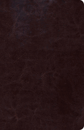 RVR 1960 Biblia de Estudio Scofield Tamano Personal, chocolate oscuro simil piel