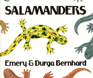 Salamanders - Bernhard, Emery