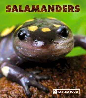 Salamanders - Maruska, Edward J