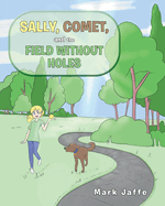 Sally, Comet, And The Field Without Holes
