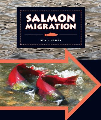 Salmon Migration - Cosson, M J