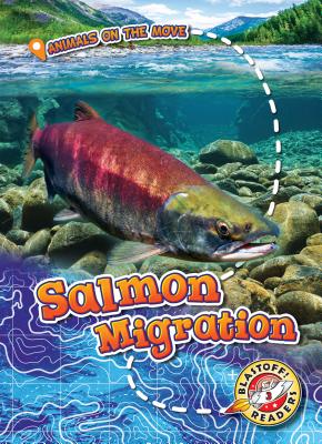 Salmon Migration - Schuetz, Kari