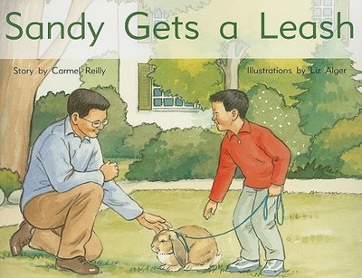 Sandy Gets a Leash: Individual Student Edition Yellow (Levels 6-8) - Reilly