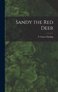 Sandy the Red Deer