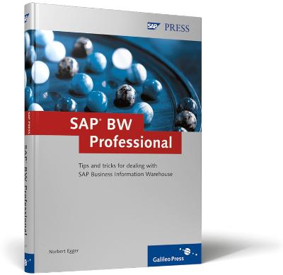 SAP BW Professional - Egger, N.