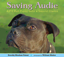 Saving Audie: A Pit Bull Puppy Gets a Second Chance