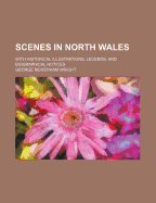 Scenes in North Wales: With Historical Illustrations, Legends, and Biographical Notices (Classic Reprint)
