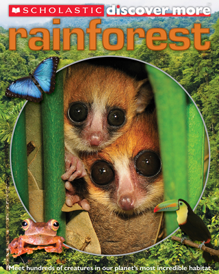 Scholastic Discover More: Rainforest - Arlon, Penelope