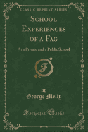 School Experiences of a Fag: At a Private and a Public School (Classic Reprint)