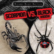 Scorpion vs. Black Widow